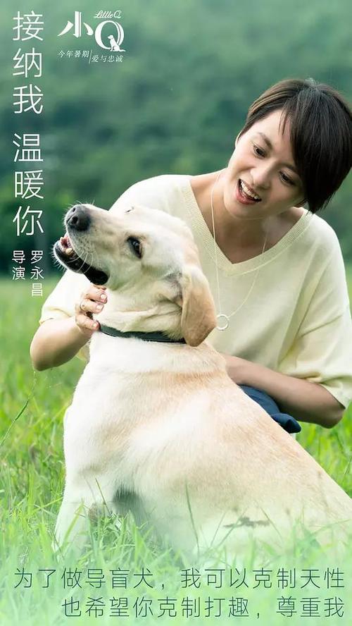 定制冰岛虚拟币平台身份认证资料